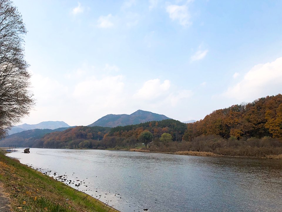송호리 활동사진